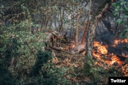 ხანძარი ტყეში, ბორჯომი, თავდაცვის სამინისტროს ფოტო