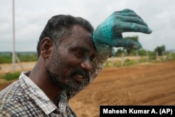 P. Ravinder Reddy, a farmer, wipes his sweat while working at peanut field in Rayanpet village of Telangana state, India, Wednesday, Sept. 25, 2024. (AP Photo/Mahesh Kumar A.)