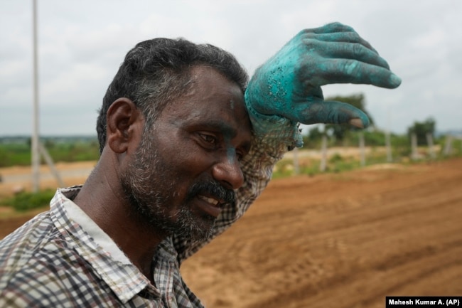 P. Ravinder Reddy, a farmer, wipes his sweat while working at peanut field in Rayanpet village of Telangana state, India, Wednesday, Sept. 25, 2024. (AP Photo/Mahesh Kumar A.)