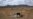 Serious El Niño Impact Predicted for East and Southern Africa