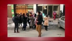 د ډیوه د روانو چارو خپرونه په ټي وي
