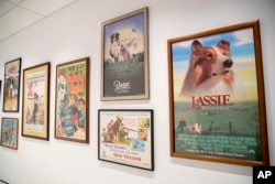 This Wednesday, Jan. 9, 2019, photo shows a wall of movie posters celebrating canine stars on display at the American Kennel Club Museum of the Dog in New York. The museum opens Feb. 8, returning to New York after three decades on the outskirts of St. Lou