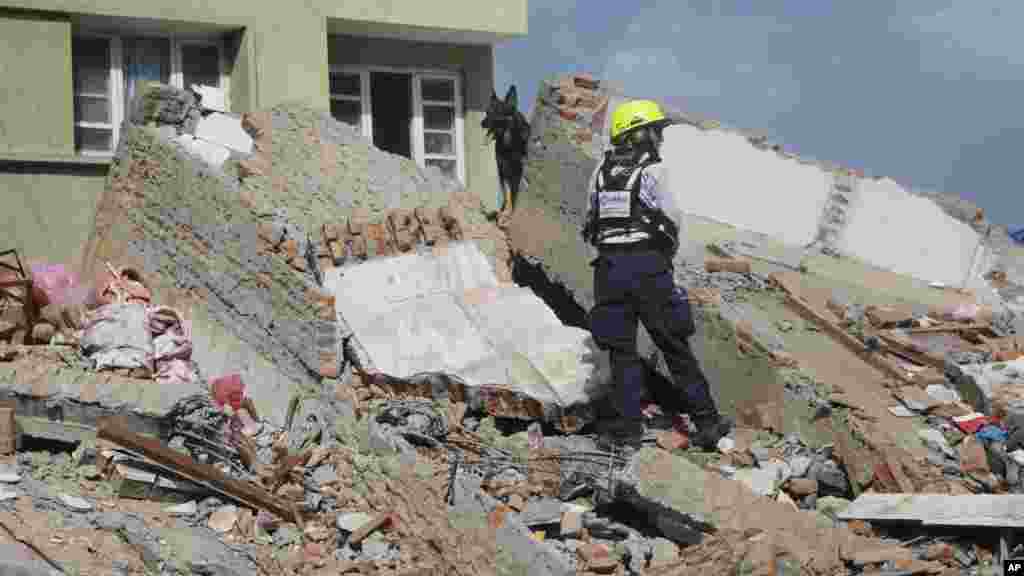 Un agent de l'USAID recherche des survivants, avec l’aide d’un chien renifleur, sur le site d'un bâtiment effondré à la suite d’un tremblement de terre à Katmandou, au Népal, mardi 12 mai 2015.