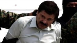 Drug Kingpin El Chapo Guzman Injured During Search