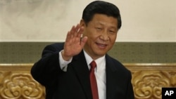 中國國家主席習近平(資料照片)