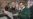 16x9 Image