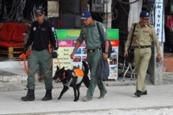 FILE - A police dog team leaves to continue the search for missing British tourist Amelia Bambridge on Koh Rong island in Sihanoukville province on October 31, 2019.