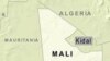 ECOWAS Team to Investigate Fighting in Mali