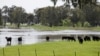 Setelah Kebakaran, Australia Bersiap Hadapi Banjir