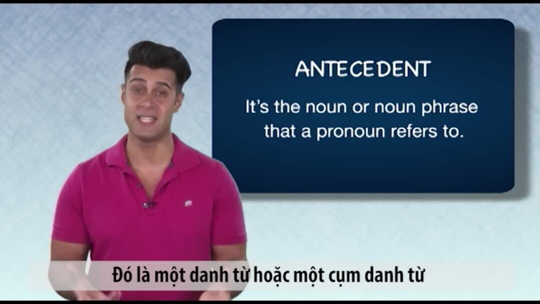 Noun và Pronoun là gì?