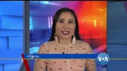 နေ့စဉ် တီဗွီသတင်းလွှာ (၀၄-၀၈-၂၀၂၀)