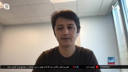 دریابی: طالبان از آزادی بیان هراس دارند 