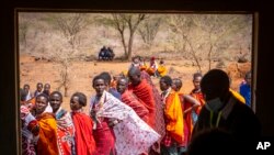 Maasai waiting in line to cast their votes, look through an open window at electoral officials inside a polling station at Niserian Primary School, in Kajiado County, Kenya.