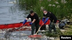 جرمن سرحد کے قریب کارکن دریائے اوڈر سے مردہ مچھلیاں نکال رہے ہیں : فائل فوٹو