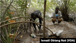 Visite guidée avec les piégeurs de crabes du Gabon
