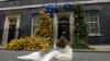 El gato mascota del gobierno británico frente a flores del color de la bandera ucraniana en frente al 10 Downing street en Londres el 24 de agosto del 2022. (Foto AP/Frank Augstein)