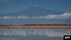 Vue sur le Kilimanjaro, le 21 juillet 2022.