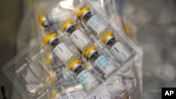 The monkeypox vaccine is seen inside a cooler during a vaccination clinic at the OASIS Wellness Center, Aug. 19, 2022, in New York.