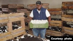 Chizvarwa cheZimbabwe chiri kurima howa, VaTamuka Gwatidzo.