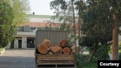 FILE: Representative illustration of urban trees being cut down. Taken August 14, 2022