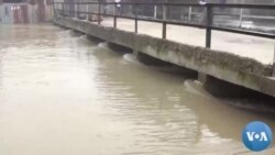 Deadly Floods Displace Thousands in Northeastern Nigeria