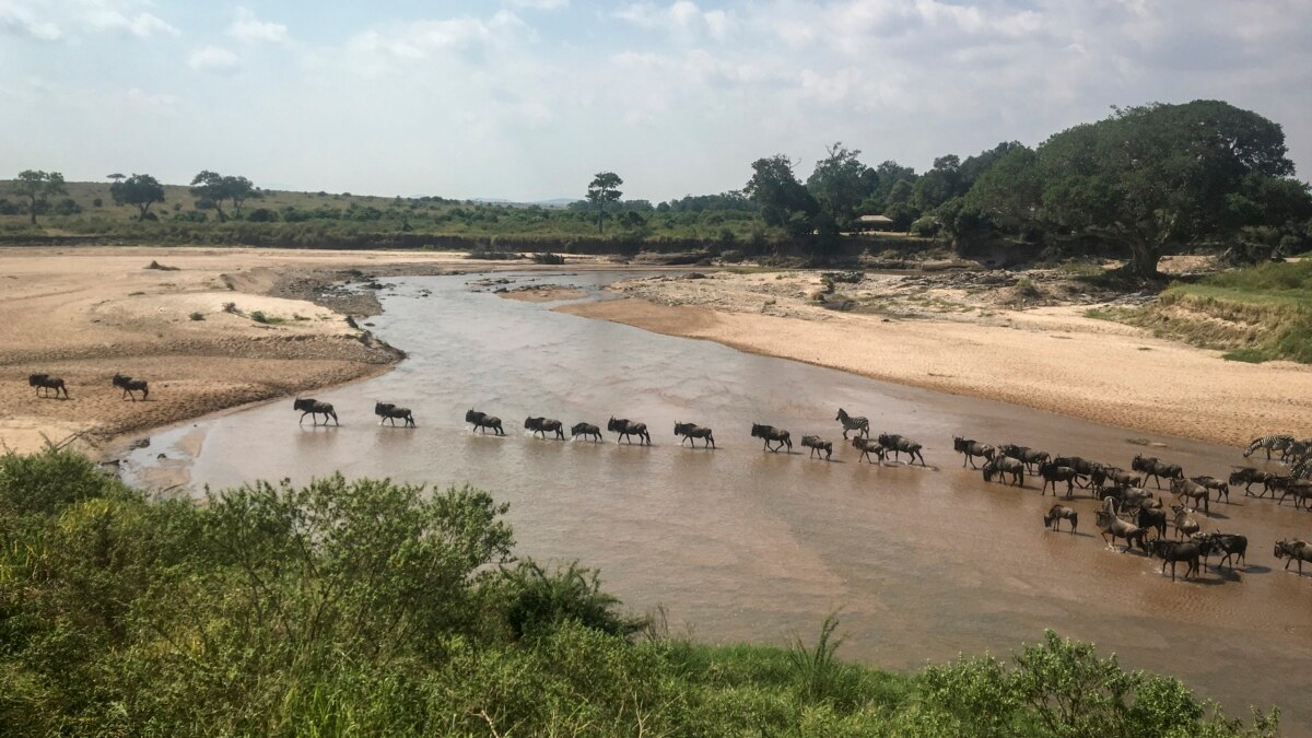 African Wildlife Parks Face Climate, Infrastructure Threats - Vimarsana News