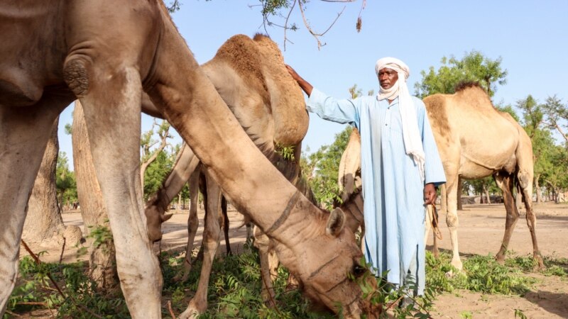 Des affrontements intercommunautaires font des dizaines de morts au Tchad