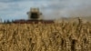 Очередная дезинформация Кремля: украинское зерно якобы «идет в богатые страны, а не в Африку» 