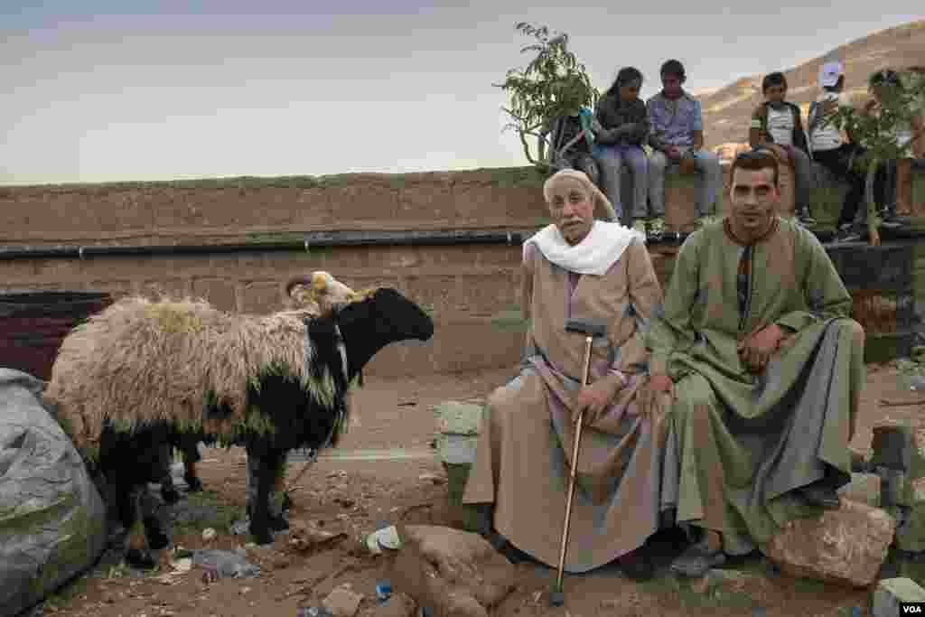 “I knew I wouldn’t be able to buy any sheep this year, so I’ve been raising them at home,” says 70-year-old Morris, who later marked the end of the Coptic Christian’s annual fifteen-day fast by sacrificing the animals to help feed his large family. Near A