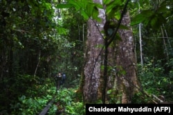 Polisi hutan berpatroli di ekosistem Leuser dekat Kabupaten Subulussalam, Aceh, sebagai ilustrasi. (Foto: AFP/Chaideer Mahyuddin)