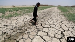 A man walks on cracked and dried up soil in the Hawiza marsh near the city of al-Amarah, in southern Iraq, July 27, 2022. The reputed home of the biblical Garden of Eden, Iraq's swamplands have been battered by three years of drought.