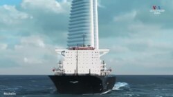 Քամին՝ որպես կայուն էներգիայի աղբյուր ծովային բեռնափոխադրումների համար 