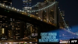 An image by Greenpeace calling for action to finalize a strong Global Ocean Treaty at the United Nations is projected onto the Brooklyn Bridge on Aug. 14, 2022, in New York City.