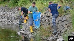 Volunteers recover dead fish from the water of the German-Polish border river Oder in Lebus, eastern Germany, Aug. 13, 2022.