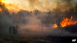 Firemen fight flames near Victoria, Entre Rios province, Argentina, Aug. 19, 2022 The fires in the Parana Delta have consumed thousands of hectares of Argentine wetlands.