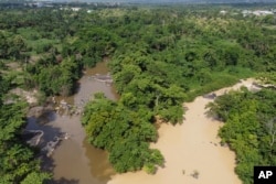 The Osun River flows through the forest of the Osun-Osogbo Sacred Grove, designated a UNESCO World Heritage Site in 2005, in Osogbo, Nigeria, on May 30, 2022.