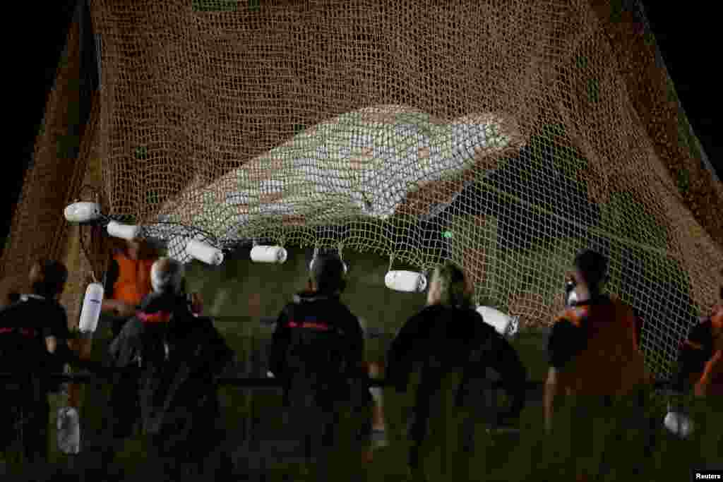 Firefighters and members of a search and rescue team pull up a net as they rescue a Beluga whale which strayed into France&#39;s Seine river, near the Notre-Dame-de-la-Garenne lock in Saint-Pierre-la-Garenne, France.