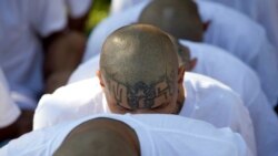 El Salvador: EE.UU. Extradición pandilleros MS-13