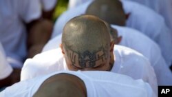 ARCHIVO - En esta foto de archivo del 31 de enero de 2019, hombres encarcelados identificados por las autoridades como pandilleros de la Mara Salvatrucha, o MS-13, esposados mientras son trasladados a la prisión de alta seguridad de Zacatras en Zacatecoluca, El Salvador.