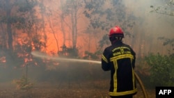 فرانس میں ایک فائر فائٹر جنگل کی ایک آگ کو بجھانے کی کوشش کر رہا ہے: فوٹو اے ایف پی