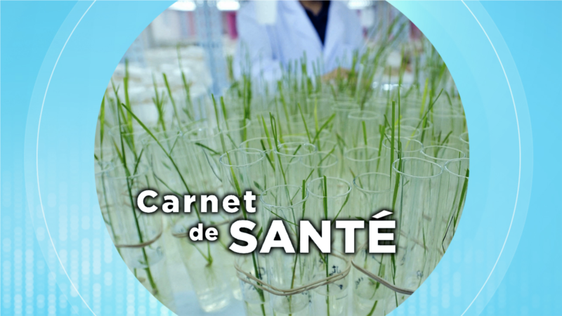 Carnet de santé : les aliments génétiquement modifiés