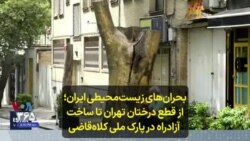 بحران‌های زیست‌محیطی ایران؛ از قطع درختان تهران تا ساخت آزادراه در پارک ملی کلاه‌‌قاضی