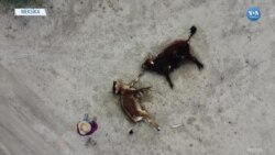 Meksika’da Son 30 Yılın En Kötü Kuraklığı 