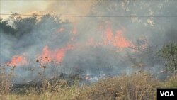 Shqipëri, vatra të shumta zjarri në zona të ndryshme të vendit