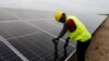 Renewable Energy Advocates Say Trend "Unstoppable"