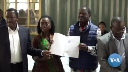 Odinga Petitions Pivotal to Kenya Democracy - Experts