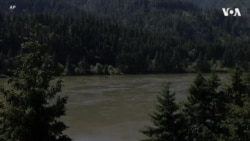 美国西北部哥伦比亚河 当地原住民生命的源泉 