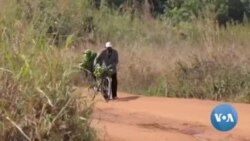 In Mozambique, Banana Wholesalers Are Turning into Pedalers