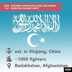 Eastern Turkistan Islamic Movement/Turkistan Islamic Party