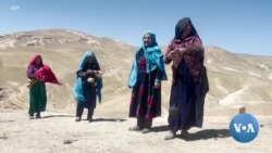 Afghan Women, Girls Face Drastic Disintegration of Rights 